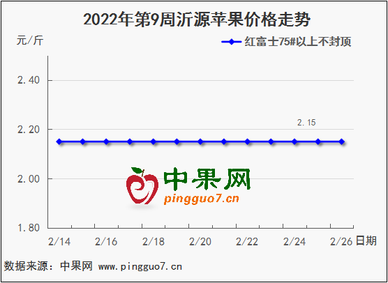 苹果今日行情速览