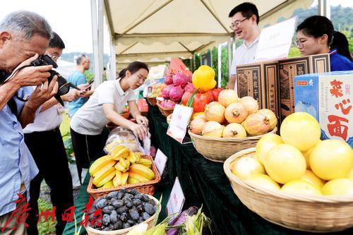 “农广天地美食新篇，尽享丰收喜悦时光”