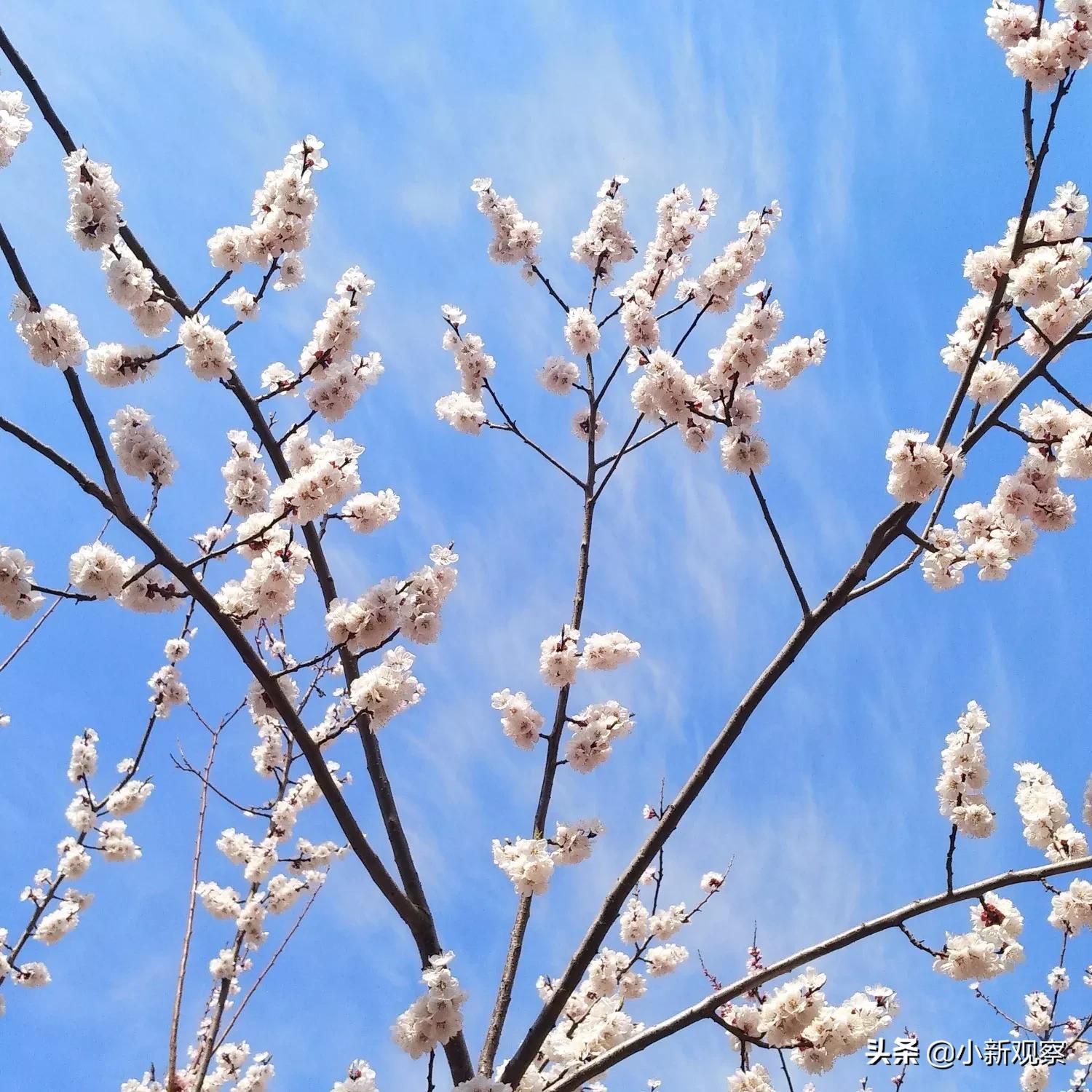 吉林晴朗展望：台风最新动态，风和日丽在望