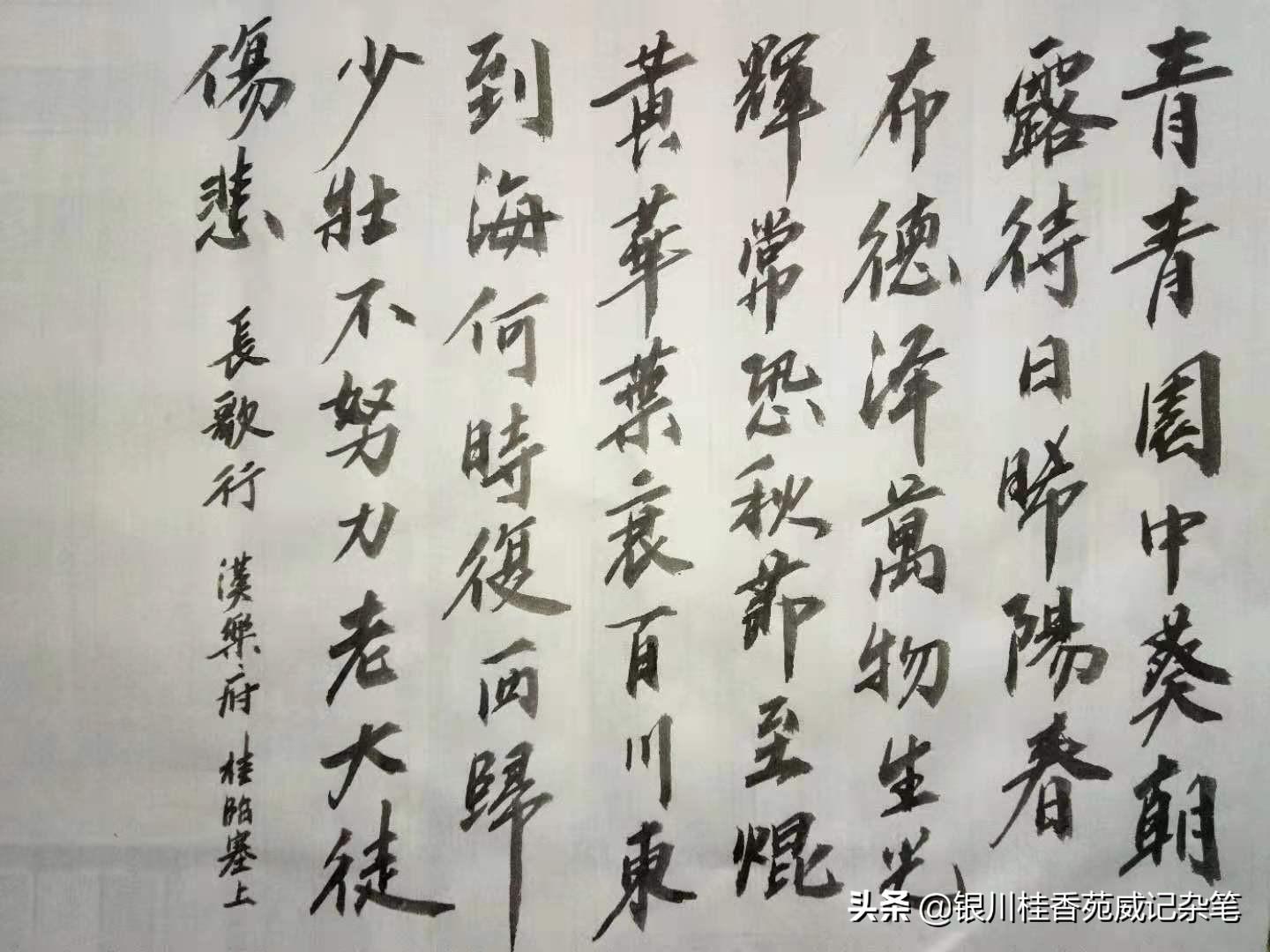 “最新一色汇总资讯”