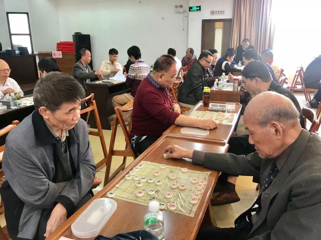 象棋桥V5.0全新升级版：尽享智慧博弈新体验