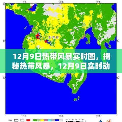 最新热带风暴动态速递：实时气象预警信息发布