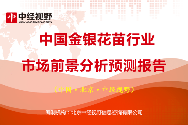 今日金银花市场动态：实时价格走势一览